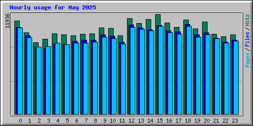 Hourly usage for May 2025