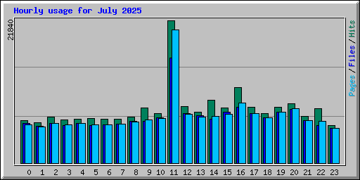 Hourly usage for July 2025