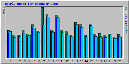 Hourly usage for December 2025