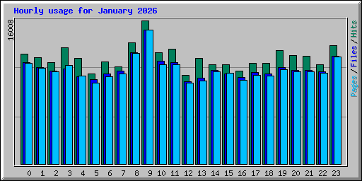 Hourly usage for January 2026